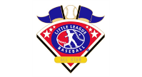 2022 Freeland Little League All-Stars